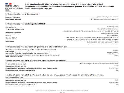 Index Égalité professionnelle H/F 205 au titre des données 2024