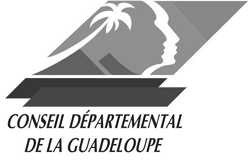 Conseil départemental